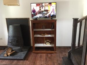 a living room with a tv and a stove at Fernery Garden cottage, near Skibbereen in Drishanebeg