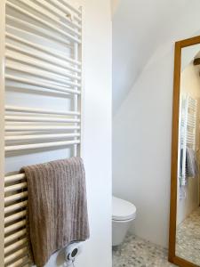 Guesthouse Rotterdam, tinyhouse nearby Kralingen的一间浴室