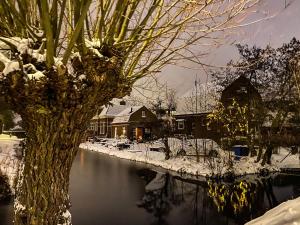 冬天的Guesthouse Rotterdam, tinyhouse nearby Kralingen
