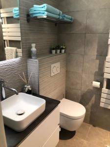 a bathroom with a white sink and a toilet at Middelkerke green garden in Middelkerke