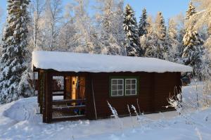 a log cabin in the snow with trees at Stuga i Pålles Stugby in Duved