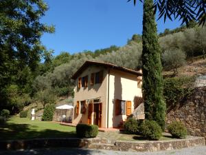 a house with a stone wall and a tree at Oliveto Cottage in Capannori