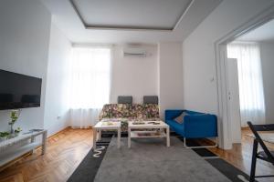 ベオグラードにあるBotanical9, Belgrade centre, 2 bedroom apartmentのソファとテーブルのあるリビングルーム