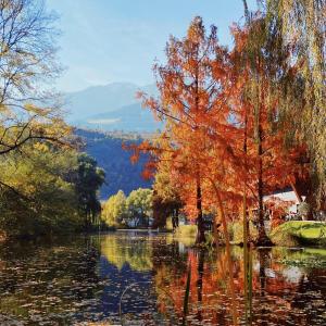 a view of a lake in the fall at Nina • Parchi e Fiume in Bressanone