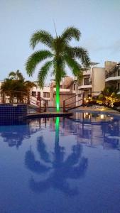 a palm tree and a swimming pool with a palm tree at Brisas do Amor 131 in Pipa