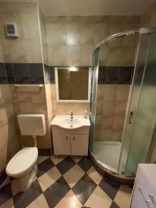 e bagno con servizi igienici, lavandino e doccia. di Apartment BOSS a Novalja (Novaglia)