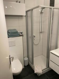 a bathroom with a shower and a toilet at Wilhelms Havenkoje - gemütliches Innenstadtappartment in Wilhelmshaven +16 photos