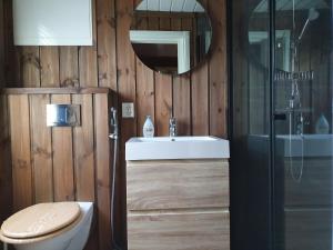 een badkamer met een toilet, een wastafel en een spiegel bij Grostul in Lifjell