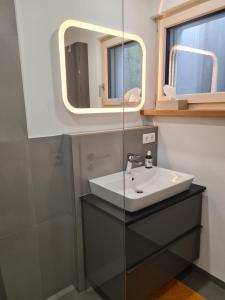 a bathroom with a sink and a mirror at Moggele in Scheidegg