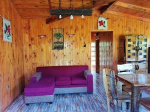 ein Wohnzimmer mit einem lila Sofa in einer Holzwand in der Unterkunft Cabañas El Diuco en Coñaripe 1 in Coñaripe