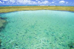 a large pool of water with fish in it at Pousada Mirante de Porto in Porto De Galinhas