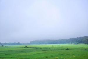 Fotografie z fotogalerie ubytování Nan View Farmer Resort v destinaci Ban Lai Nan