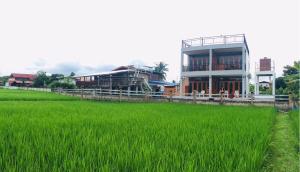 un gran edificio junto a un campo de césped verde en Nan View Farmmer Lumduan Homestay, en Nan