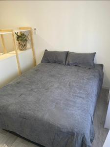 a bedroom with a bed with a gray blanket at Monoambiente en el centro de Carlos Paz in Villa Carlos Paz