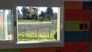 a window with a view of two horses in a field at La paz in Tandil +1 photo