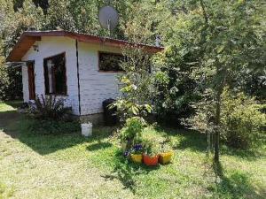 En have udenfor Cabañas El Diuco en Coñaripe 1 + 21 billeder