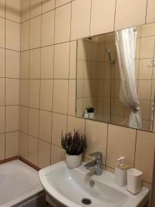 a bathroom with a sink and a mirror and a tub at 2х-комнатная на берегу Ангары in Irkutsk
