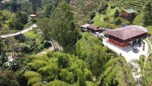una vista aérea de un edificio en medio de un bosque en Hotel Orillas del Pizano, en Jardín