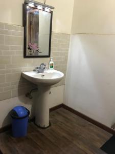a bathroom with a sink and a mirror at Sumdo saspotse farmstay in Saspul Gömpa