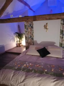 een slaapkamer met een bed in een kamer bij La bulle suspendue in Bassevelle