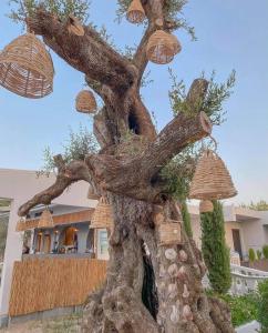 un grande albero con dei funghi sopra di esso di fronte a una casa di Venus Resort a Tsilivi