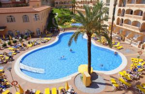 Bazén v ubytování Bahía Tropical nebo v jeho okolí