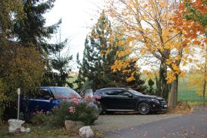 two cars parked next to each other in a driveway at Fewo Schillings in Kodersdorf