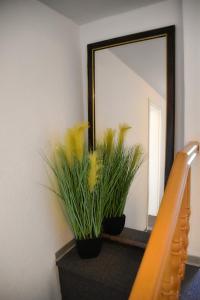 Fotografie z fotogalerie ubytování Hotel Rosenhof Braunlage v destinaci Braunlage