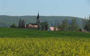 a field of yellow flowers in front of a church at Zo. Low Budget House in Bakonykoppány