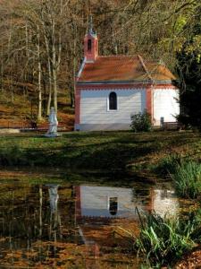 a house with a reflection in a body of water at Zo. Low Budget House in Bakonykoppány +9 photos
