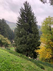 Príroda v okolí penziónu + 14 fotografií