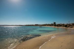 a sandy beach with the ocean and houses in the background at Shams Alam Beach Resort in Abū Ghuşūn