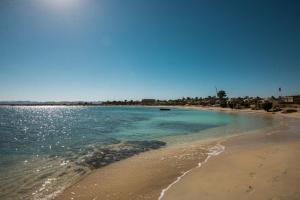 شمس علم بيتش ريزورت في أبو غصن: شاطئ رملي مع المحيط وبيوت في الخلفية