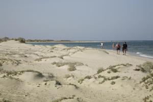 a group of people walking on the beach at Shams Alam Beach Resort in Abū Ghuşūn