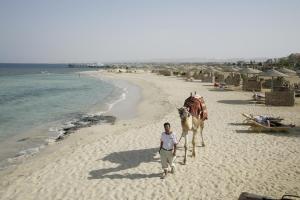 a man walking a horse on the beach at Shams Alam Beach Resort in Abū Ghuşūn