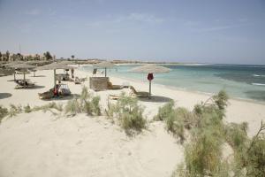 a beach with umbrellas and chairs and the ocean at Shams Alam Beach Resort in Abū Ghuşūn