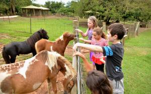 Gallery image of eBundu Lodge in White River +63 photos