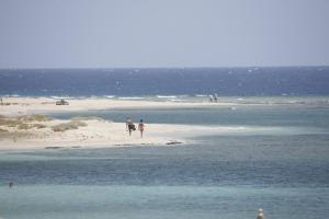 a group of people walking on the beach at Shams Alam Beach Resort in Abū Ghuşūn