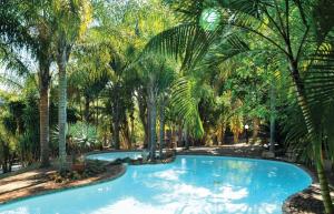 a large swimming pool surrounded by palm trees at eBundu Lodge in White River