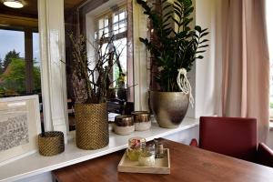 Fotografie z fotogalerie ubytování Hotel Rosenhof Braunlage v destinaci Braunlage