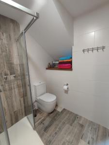 a bathroom with a toilet and a shower at Can Pont in Camprodon +26 photos