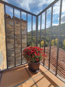 a pot of flowers on a balcony with a view at Can Pont in Camprodon +27 photos
