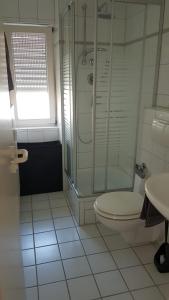 a bathroom with a shower and a toilet and a sink at Ferien- und Businessapartment I Modern mit WLAN und Parkplatz nahe Zentrum, Automobil- und Tech-Firmen, Messe in Renningen