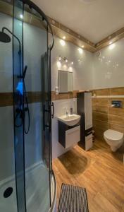 a bathroom with a shower and a sink and a toilet at Apartament Bieszczady in Hoczew