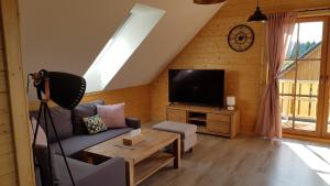 Telewizja i/lub zestaw kina domowego w obiekcie Apartmány Plešivec
