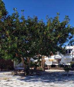 The building in which the holiday home is located