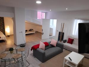 a living room with a couch and a tv at APARTAMENTO LA CRUCILLADA in La Guancha