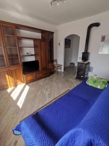 1 dormitorio con 1 cama azul en una habitación en Casa Viola, en SantʼAntonio Tortal