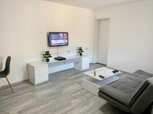 a living room with a couch and a flat screen tv at Wohnen direkt an der Rheinpromenade mit Whirlpool und Sauna in Götterswickerhamm