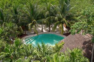 an overhead view of a swimming pool surrounded by trees at Holbox Deluxe Apartments in Holbox Island